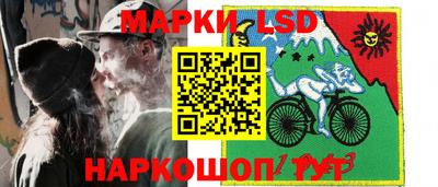 сатива Нальчик