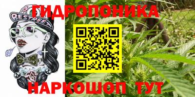 ПСИЛОЦИБИНОВЫЕ ГРИБЫ Нарткала