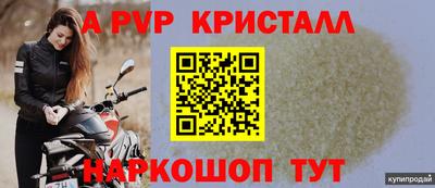 сатива Нальчик