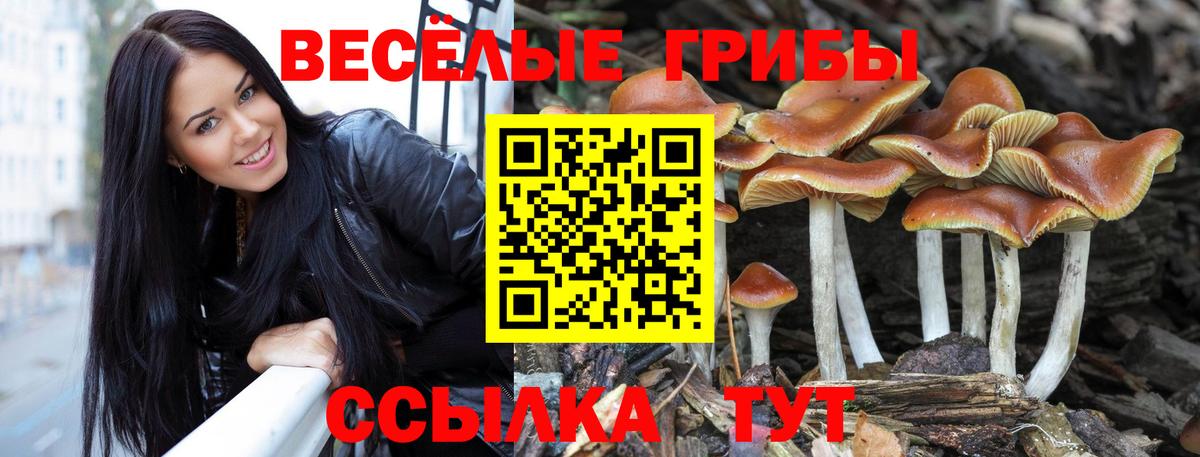 Псилоцибиновые грибы Magic Shrooms  Вход с VPN  Сызрань 
